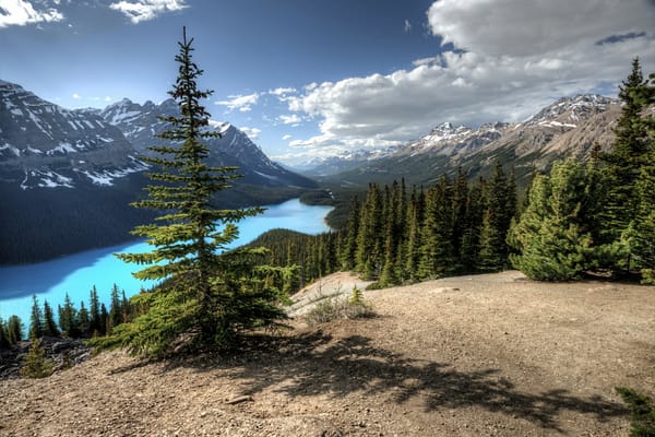 Обои Peyto Lake, озеро, Canada, горы, Banff National Park, деревья, пейзаж