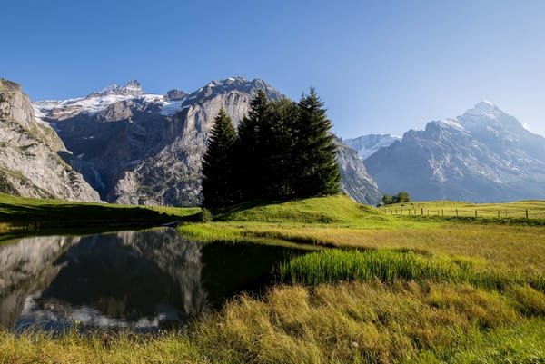 Обои Bernese Alps, Switzerland, Grindelwald
