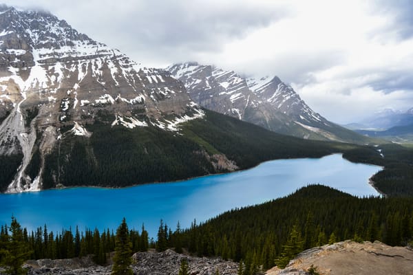 Обои Peyto Lake, горы, Canada, деревья, Национальный Парк Банф, Banff National Park, Alberta, озеро, Озеро Пейто, пейзаж, скалы, лес