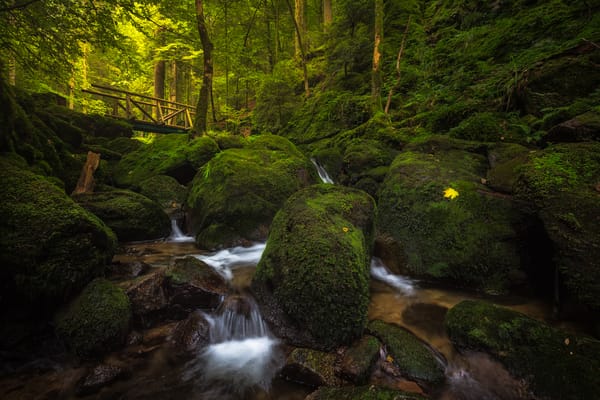 Обои creek, Baden-Wurttemberg, Gertelbach Waterfall, Germany, Schwarzwald