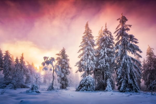 Обои winter, Schwarzwald, Germany, Baden-Wurttemberg, snow