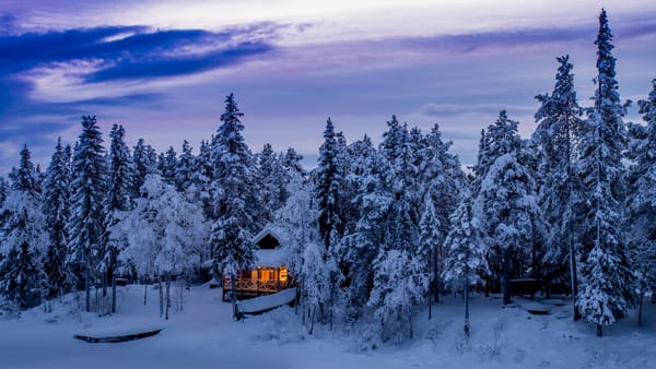 Обои Kiruna, лес, Polar Night, деревья, сугробы, Arctic Circle, домик, Sweden, зима, пейзаж