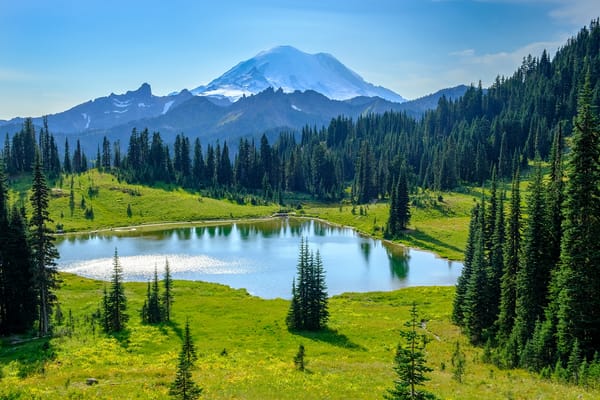 Обои Tipsoo Lake, пейзаж, деревья, Mount Rainier National Park, Washington, USA, природа, горы, озеро