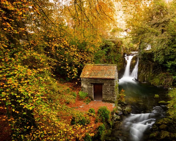Обои осень, Rydal Mount, пейзаж, Rydal Hall, деревья, водопад, Grotto waterfall, природа, Lake District, Cumbria, лес