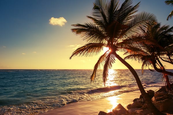 Обои Palm tree on the tropical beach, море, пальмы, sunrise shot, пейзаж, природа, берег, Dominican Republic, волны, пляж, закат