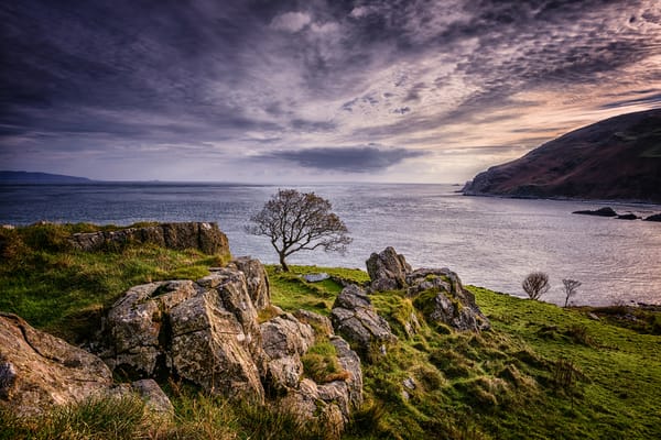 Обои Северная Ирландия, Северное море, Isle of Jura, закат, Горные породы, природа, пейзаж, Одинокое дерево, Antrim