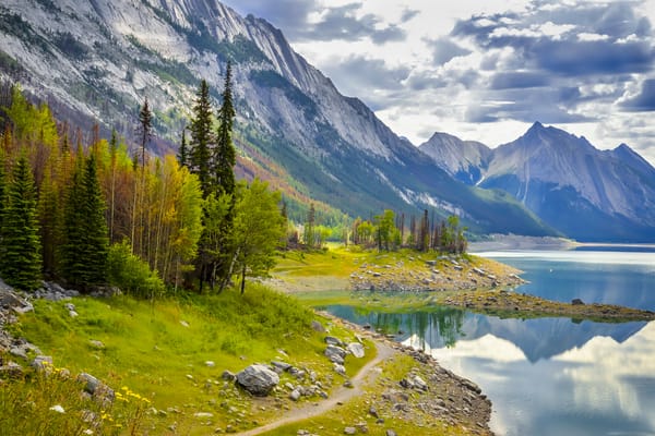 Обои Icefield Parkway, озеро, деревья, Jasper Park, Canada, горы, Banff Park, пейзаж