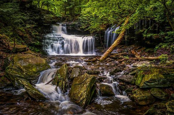 Обои Государственный парк Рикеттс Глен, Ricketts Glen State Park, водопад, течение, пейзаж, скалы, Пенсильвания, лес, Pennsylvania, деревья, природа
