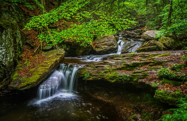 Обои Государственный парк Рикеттс Глен, Ricketts Glen State Park, Пенсильвания, водопад, скалы, Pennsylvania, течение, лес, деревья, природа, пейзаж