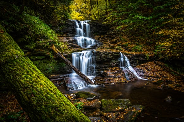 Обои Государственный парк Рикеттс Глен, лес, Ricketts Glen State Park, природа, скалы, водопад, Pennsylvania, течение, Пенсильвания, пейзаж, деревья