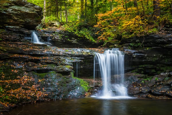 Обои Государственный парк Рикеттс Глен, скалы, водопад, Ricketts Glen State Park, пейзаж, Pennsylvania, деревья, течение, Пенсильвания, лес, природа