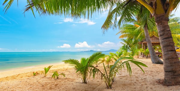 Обои MaeNam Beach, sand, landscape, sea, tropical Beach, пальмы, пейзаж, Thailand, красиво, Самуи, tropical, тропический пляж, тропический, облака, небо, Koh Samui, песок, palm trees, clouds, beautiful, Таиланд, море, nature, природа, Маэнам, sky