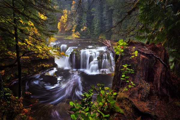 Обои осень, Lower Lewis River Falls, Вашингтон, США, штат, лес, река Льюис