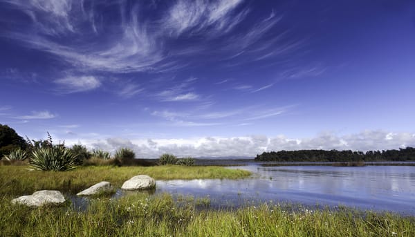 Обои кусты, Lake Mahinapua, озеро, небо, трава, облака, Новая Зеландия, камни