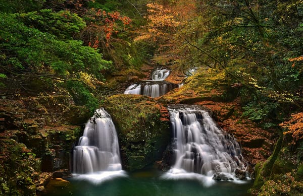 Обои Japan, Akame Shijuhachi-taki, Akame 48 Waterfalls, Nabari, деревья, лес, осень, Набари, каскад, Япония, водопады, Mie Prefecture