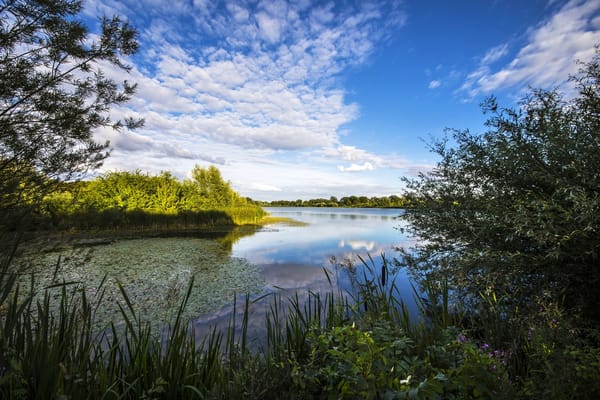 Обои Англия, River Great Ouse, река Грейт-Уз, England, Cambridgeshire, река, небо, облака, Кембриджшир, растительность