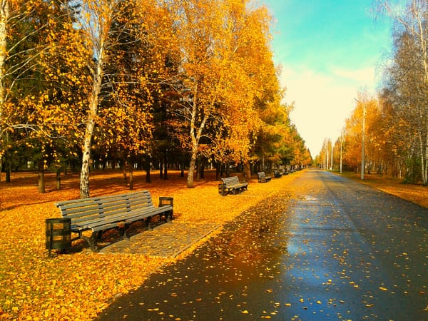 Парк Осень Скамейки Фото