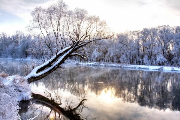 Обои nature landscape, холод, природа, branch, деревья, река, заснеженные, отражение, пейзаж, cold season, изморозь, winter river, зима, frozen forest, wonderland