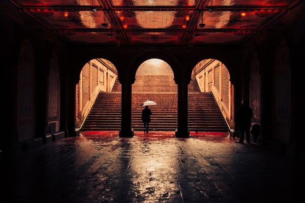 Обои United States, man, Bethesda Terrace Arcade, New York, raining, Central Park, umbrella