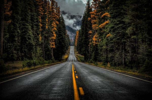 Обои дорога, деревья, осень, Washington State, Highway 410, лес, штат Вашингтон