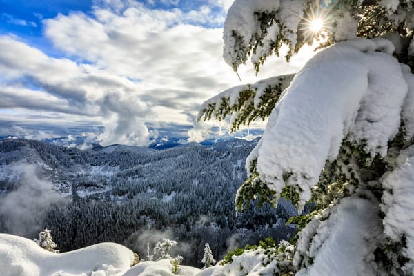 Обои облака, Washington, штат Вашингтон, горы, зима, панорама, Каскадные горы, снег, Cascade Range, Okanogan-Wenatchee National Forest, Национальный заповедник Уэнатчи, ель, лес