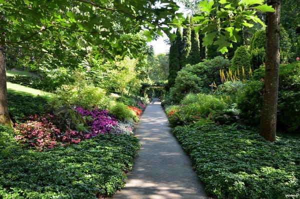 Обои Israel, Бахайские сады, дорога, Bahai garden, зелень, Haifa, кусты, Хайфа, Израиль, сад, мох, кмень, цветы, небо