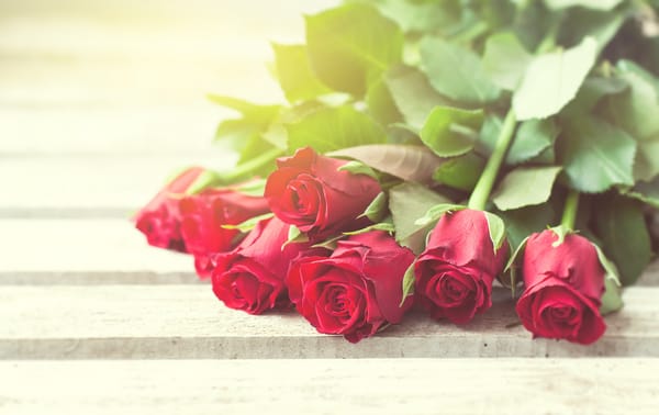 Обои красные розы, valentine`s day, roses, бутоны, romantic, love, red, flowers, розы