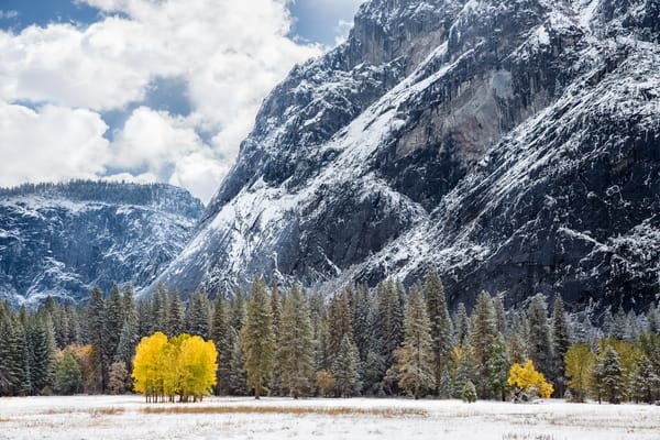 Обои Tuolumne Meadows, зима, лес, USА, гора, снег, California