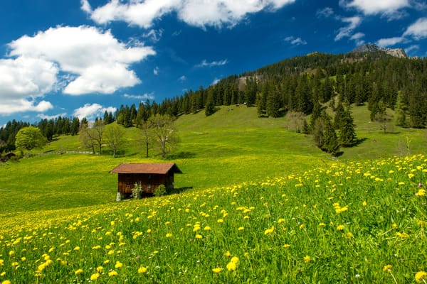Обои Pasture in the Bavarian Alps, germany, trees, зеленые поля, grass, nature, green field, деревянный дом, природа, Германия, кабины, clouds, деревья, небо, wooden house, landscape, cabin, Пастбища в Баварских Альпах, пейзаж, sky, облака, трава