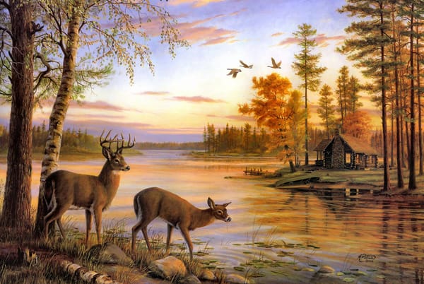 Обои birch, nature, Quiet Evening, deer, Mary Pettis, painting, river