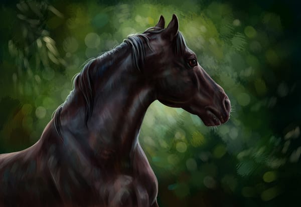 Обои лошадь, живопись, horse, вороной жеребец, черный конь, , арт, картина painting, гуашь, лошадка, лес природа, карандаш, масло, акварель