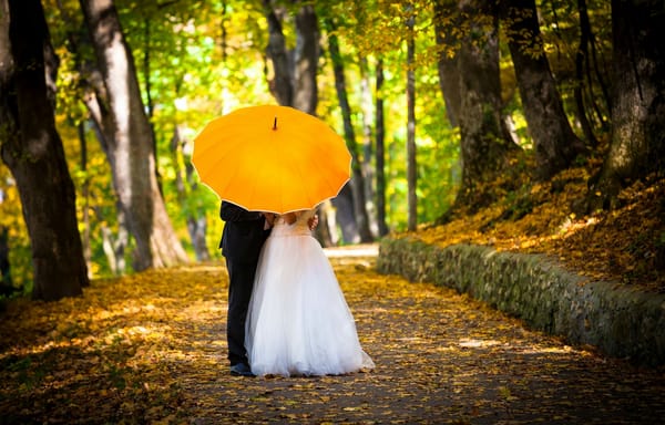 Обои настроения, жених, мужчина, umbrella, любовь, желтый, новобрачные, невеста, love, костюм, зонт, свадьба, свадебное платье, женщина, wedding, осень, trees, зонтик, аллея, деревья, смокинг, девушка, парень, тропинка