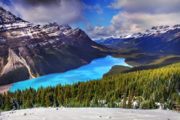 Обои peyto lake, banff national park, alberta, горы, озеро, лес, зима, ель, canada, снег, канада, деревья