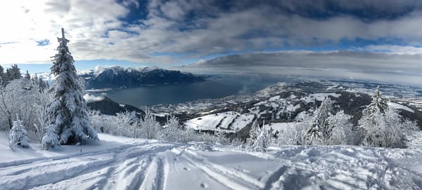Обои Женевское озеро, Швейцария, зима, Switzerland, Lake Geneva, панорама, Alps, Montreux, Альпы, деревья, горы, озеро, снег, Монтрё