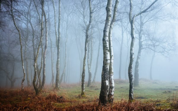Обои Англия, туман, Peak District, Derbyshire