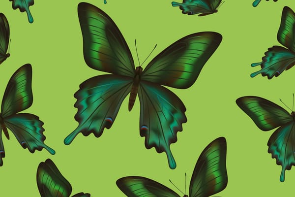 Обои текстура, бабочки, butterflies, texture