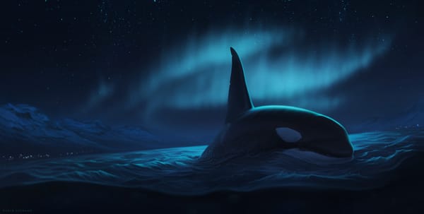 Обои ночь, by Ciorano, океан, северное сияние, касатка