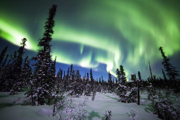 Обои Denali National Park, Национальный парк Денали, снег, Alaska, лес, ели, Аляска, деревья, северное сияние, зима