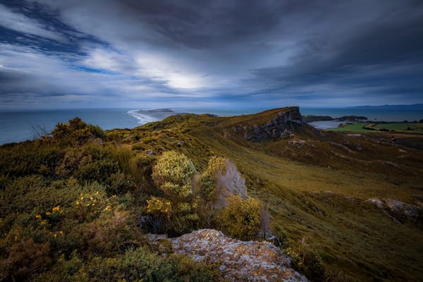 Обои Puponga, Tasman, New Zealand, Новая Зеландия