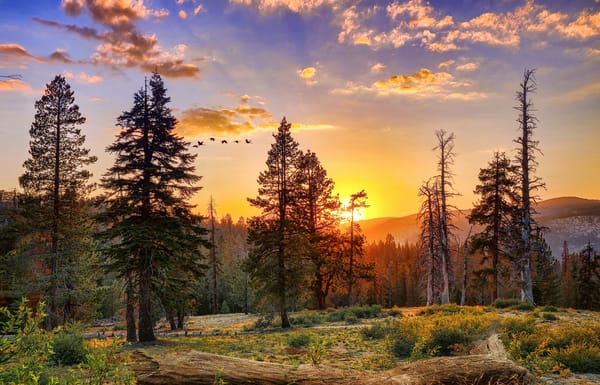 Обои Калифорния, Yosemite National Park, США