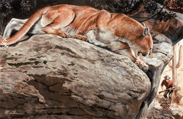 Обои Mort Künstler, горный лев, дикая кошка, хищник, природа, охотник, камни, кугуар, пума