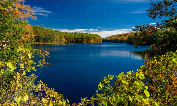 Обои Rockwood Lake, New York, штат Нью-Йорк, озеро, Парк Адирондак, осень, ветки, Adirondack Park, озеро Роквуд, деревья