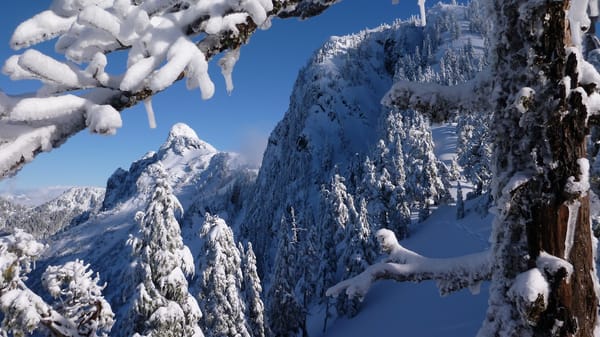 Обои North Shore Mountains, зима, Британская Колумбия, горы, деревья, горы Норт-Шор, Vancouver, Канада, British Columbia, Ванкувер, Canada