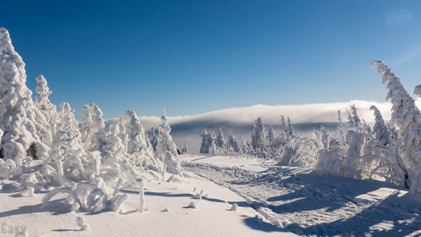 Обои Ore Mountains, зима, Germany, деревья, Саксония, Рудные горы, снег, дорога, Saxony, Германия