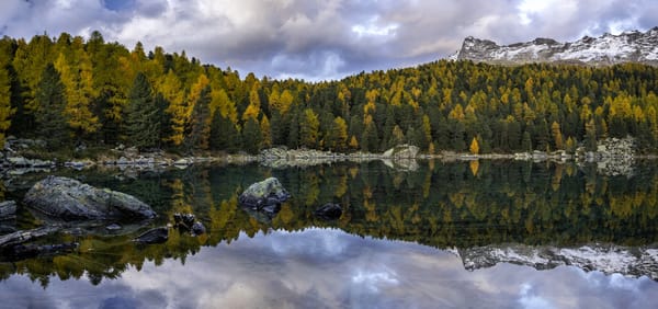 Обои Осенний лес отражается в озере