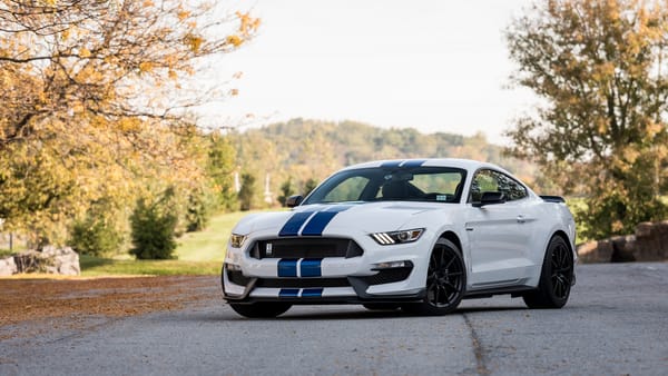 Обои форд, 2018 ford mustang shelby gt350, белая машина, форд мустанг, ford mustang shelby gt350