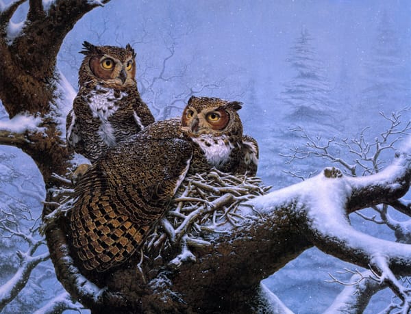Обои зима, lee kromschroeder, дерево, гнездо, живопись, совы, february nest