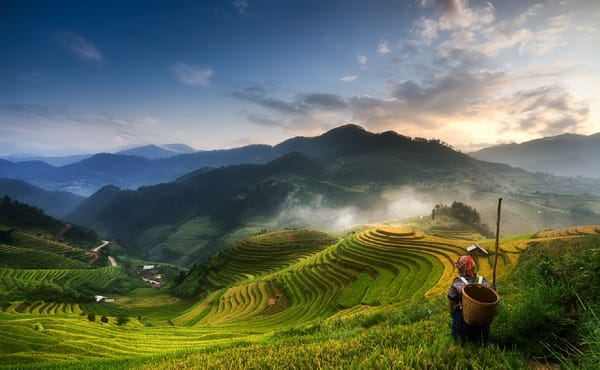 Обои mucangchai, Dzung Tran, sunset, vietnam