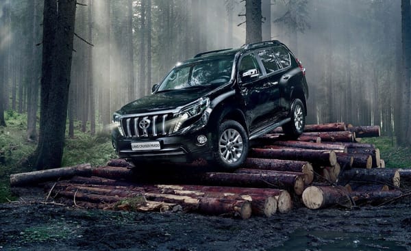 Обои toyota, land cruiser, Лес