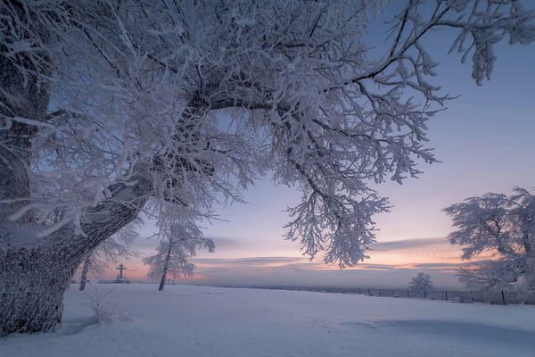Обои Андрей Чиж, Пермский край, зима, ветки, утро, пейзаж, снег, деревья, природа, рассвет
